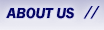 lotus notes and domino solutions firm