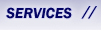 lotus notes and domino services